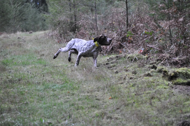 Aldo dit Basile en field